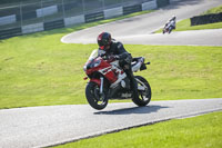 Middle Group Red Bikes